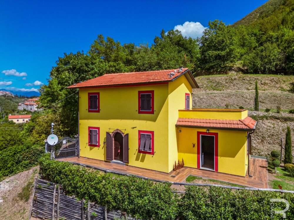Villa with a spacious garden