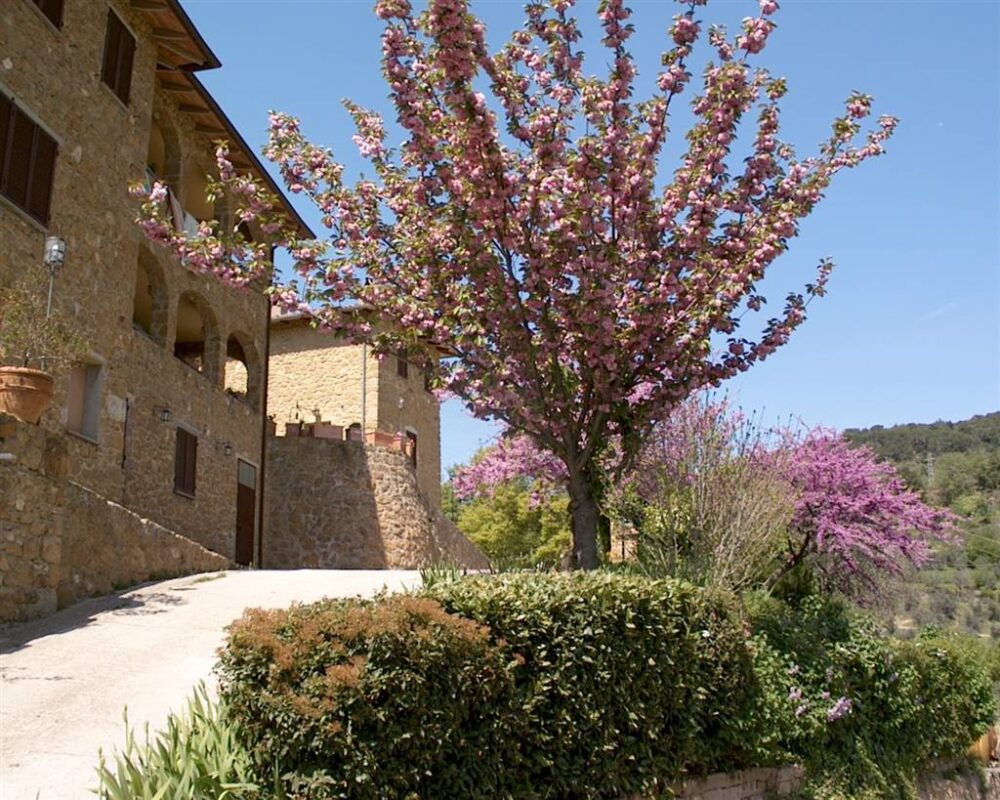 Property for sale in Trequanda, 1 Bedroom – Farmhouse – Tuscany – For Sale – A1190TA24450