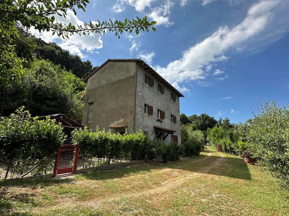 Property for sale in Sassetta, 3 Bedrooms – Farmhouse – Tuscany – For Sale – A3165TA2486057A
