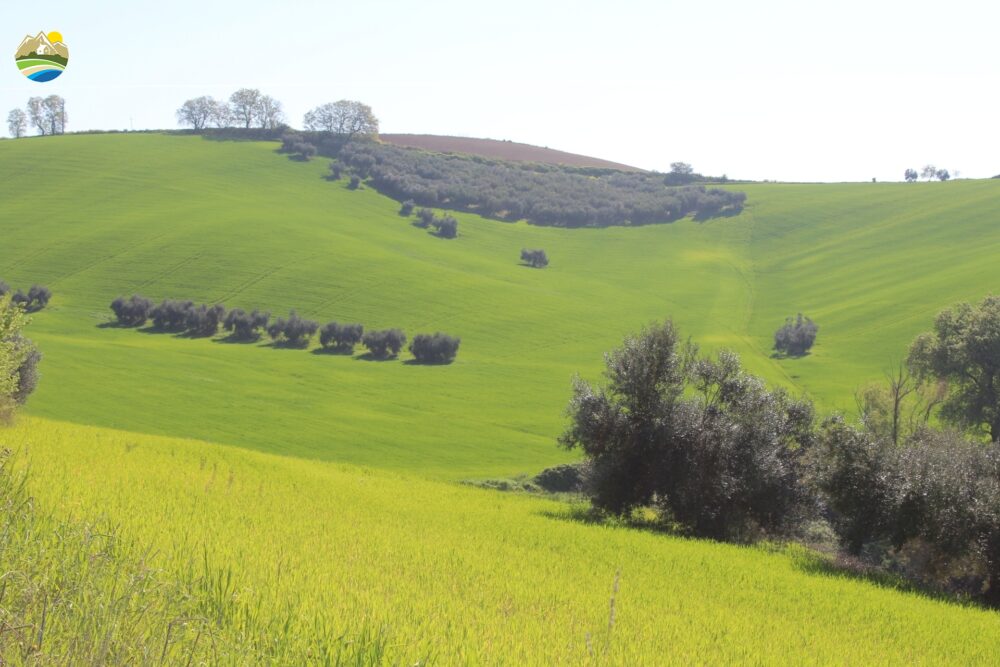 Property for sale in Abruzzo, PESCARA, Penne – EL1164
