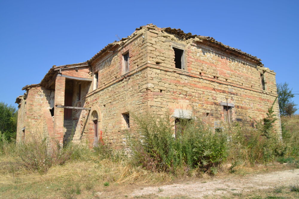 TAMANDI