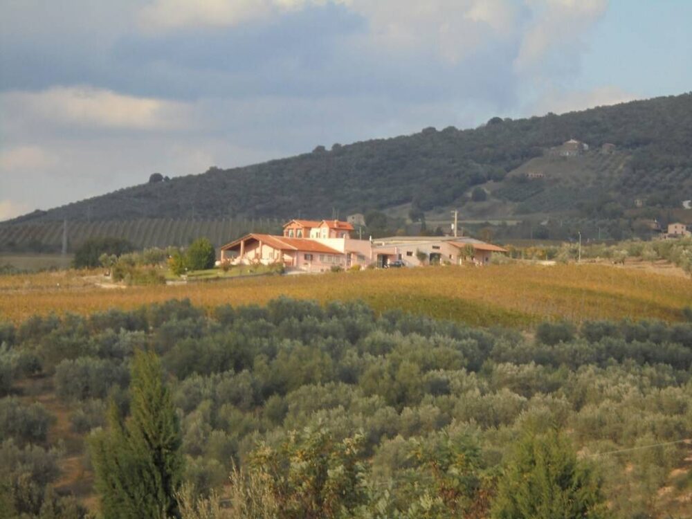 Property for sale in Montecchio, Premises – Umbria – For Sale – A6380CA1386955A